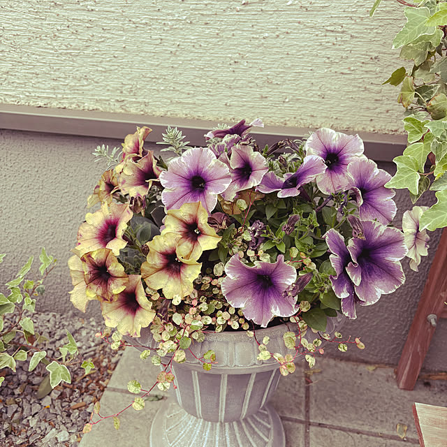 yumixさんの実例写真