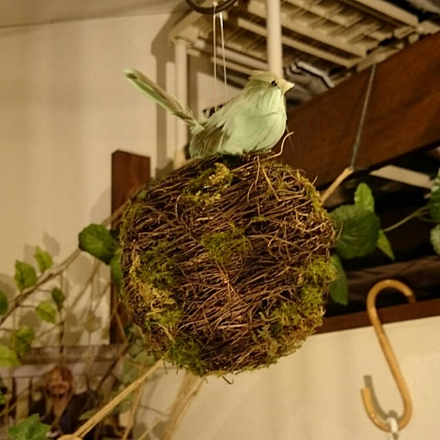 Ko.Yelieさんの実例写真