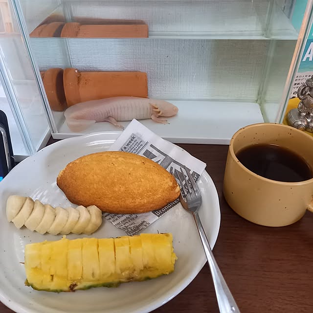 minkura32さんの部屋