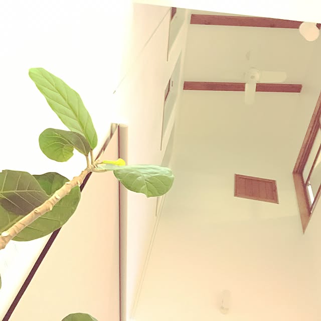 SatoTom2さんの実例写真