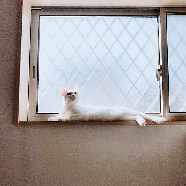 kirakirahikaruさんの実例写真