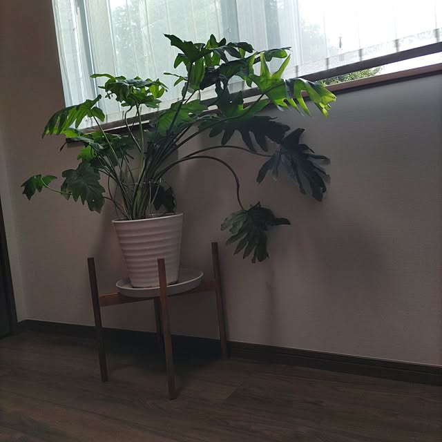 momoさんの実例写真