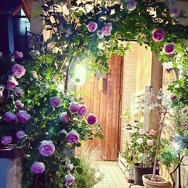 asako.10さんの実例写真