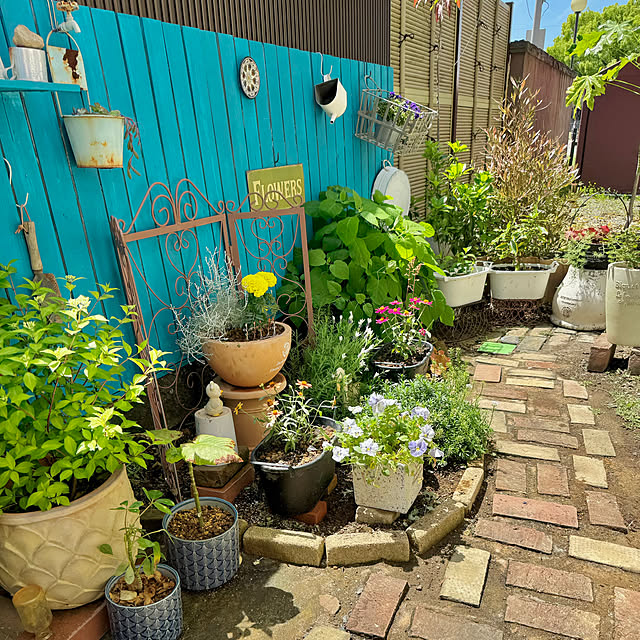 67さんの実例写真