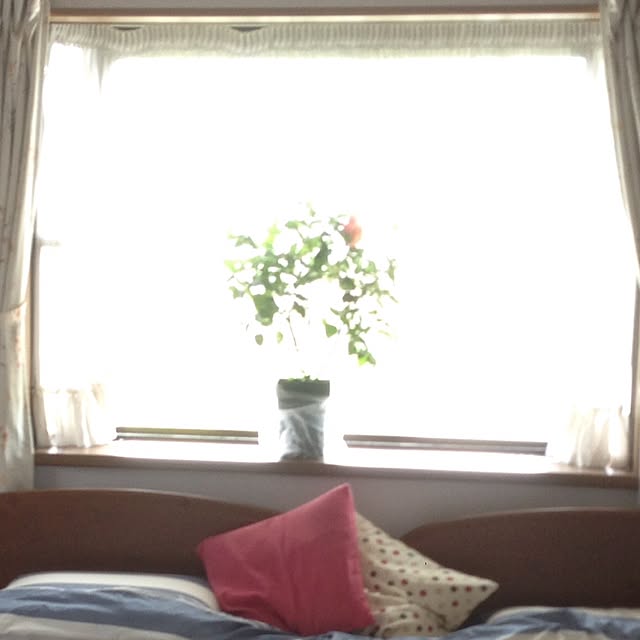 Kinanさんの実例写真