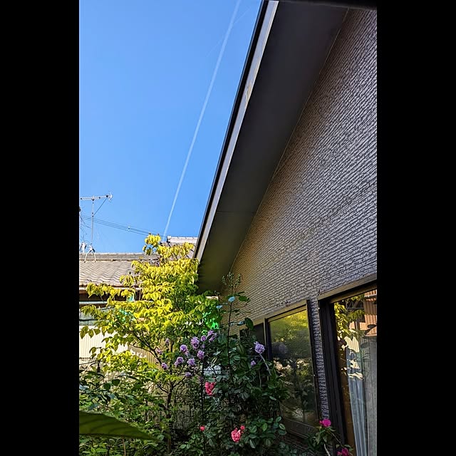 aromameさんの実例写真
