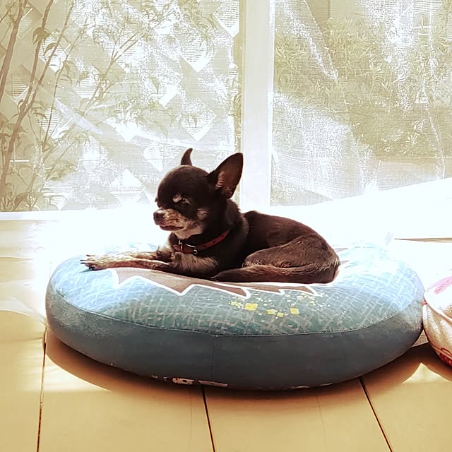 Bienvenueさんの部屋