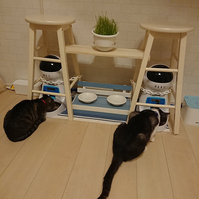 taka-kiさんの実例写真