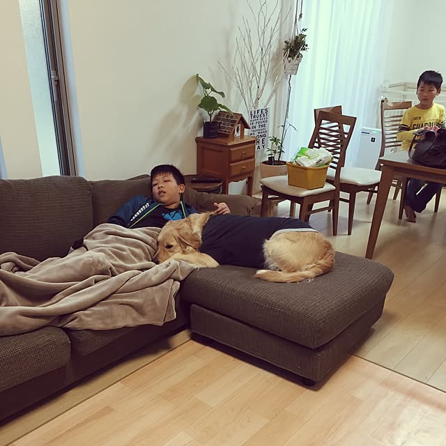 Kazueさんの実例写真