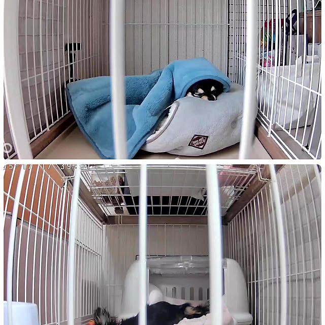 melmelさんの部屋
