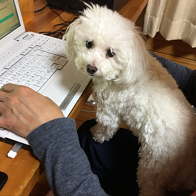 kakoさんの実例写真