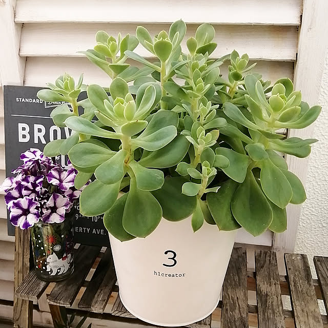 VERANDARJUNさんの実例写真