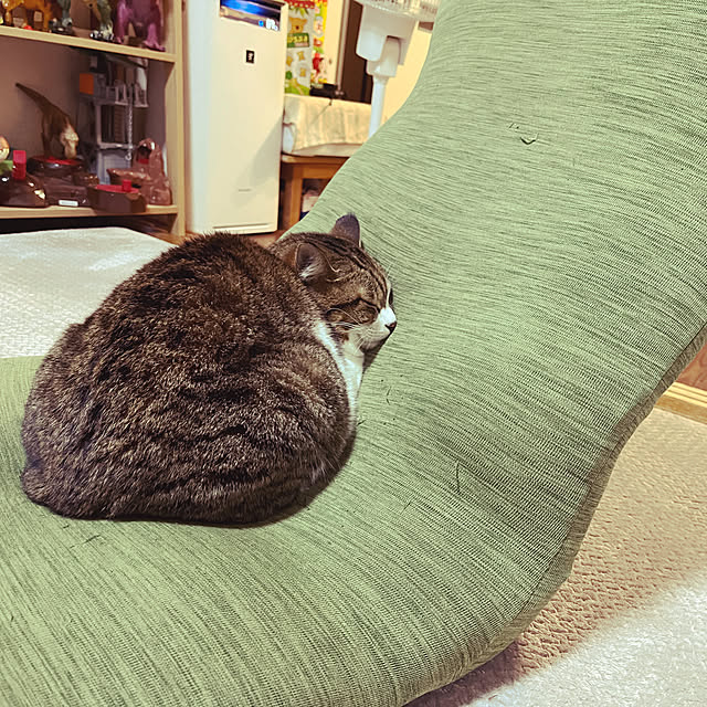 tiroさんの実例写真