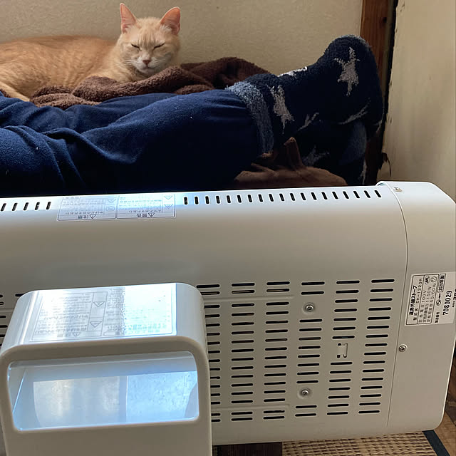 mikan161さんの実例写真