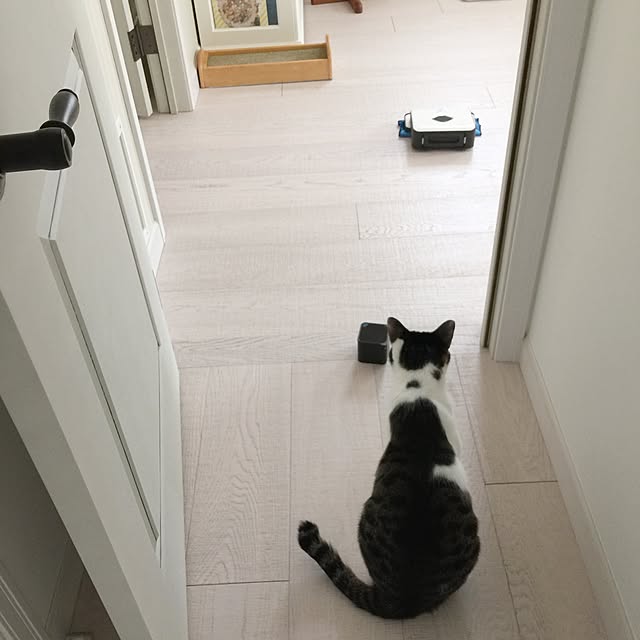 yuchiさんの実例写真