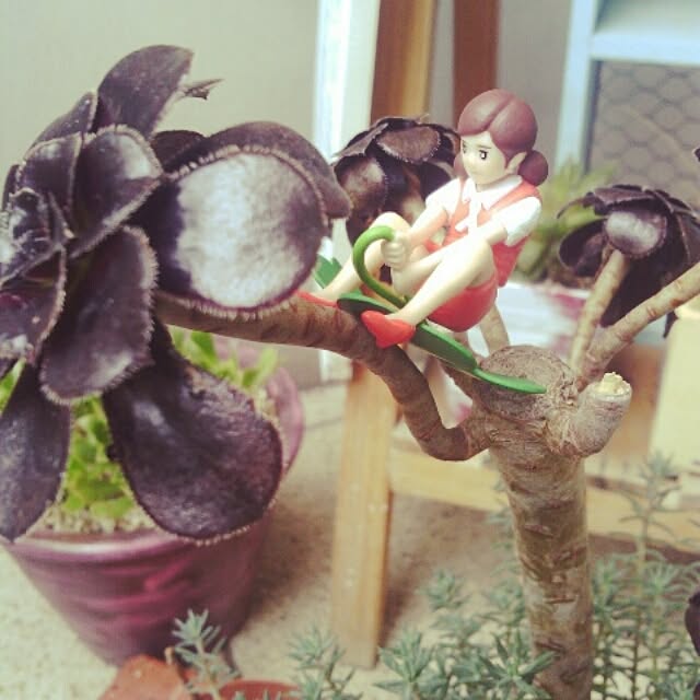 akr29さんの実例写真
