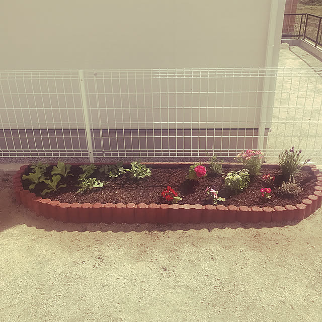 Sweetpeaさんの実例写真