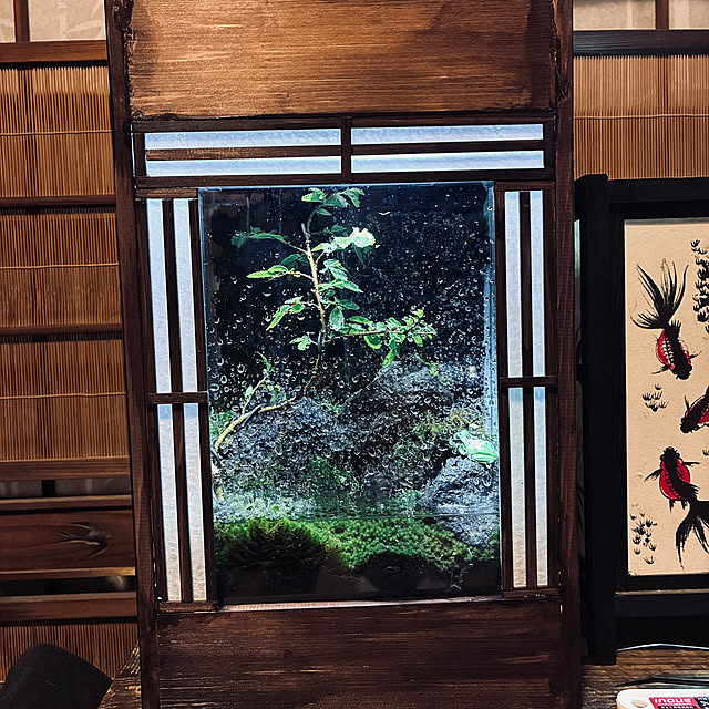 masato.mikiさんの実例写真