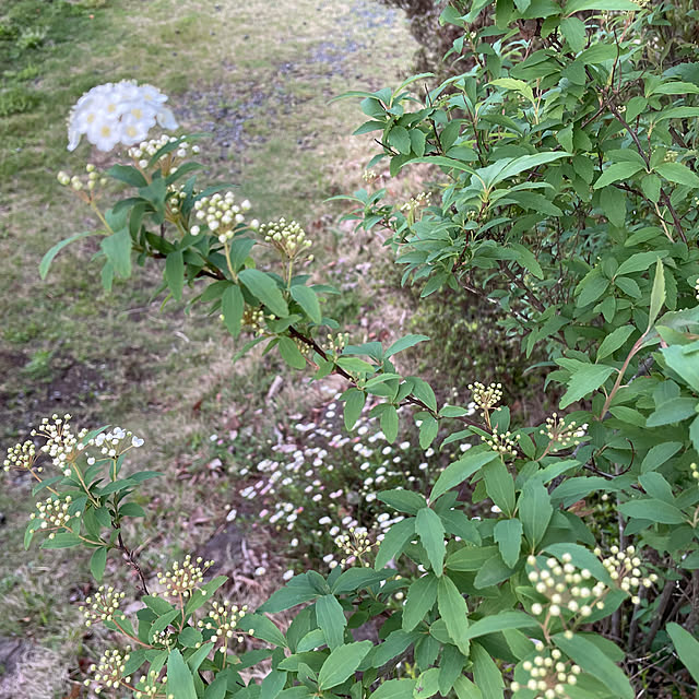 natsumiさんの部屋