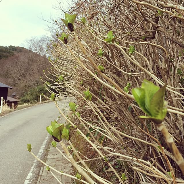 mucc08さんの実例写真