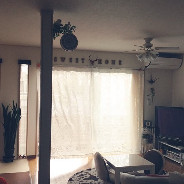 Sorieさんの実例写真