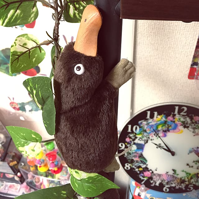 nobrinさんの実例写真