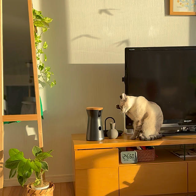 amさんの実例写真