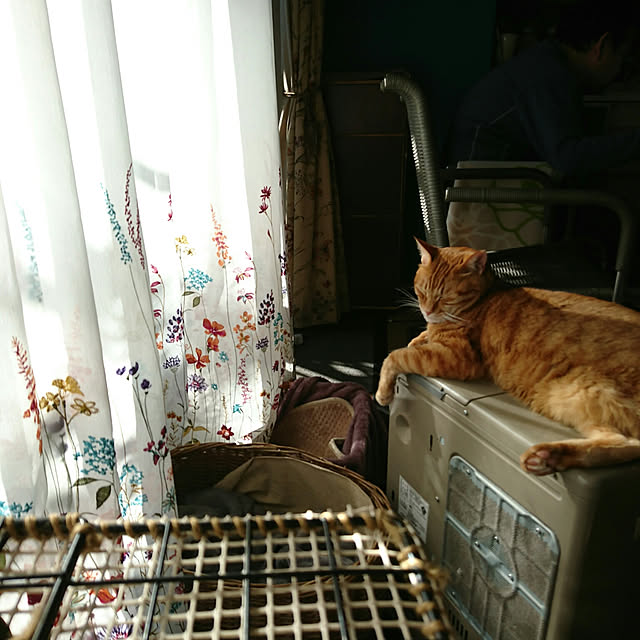 okyosan101さんの実例写真