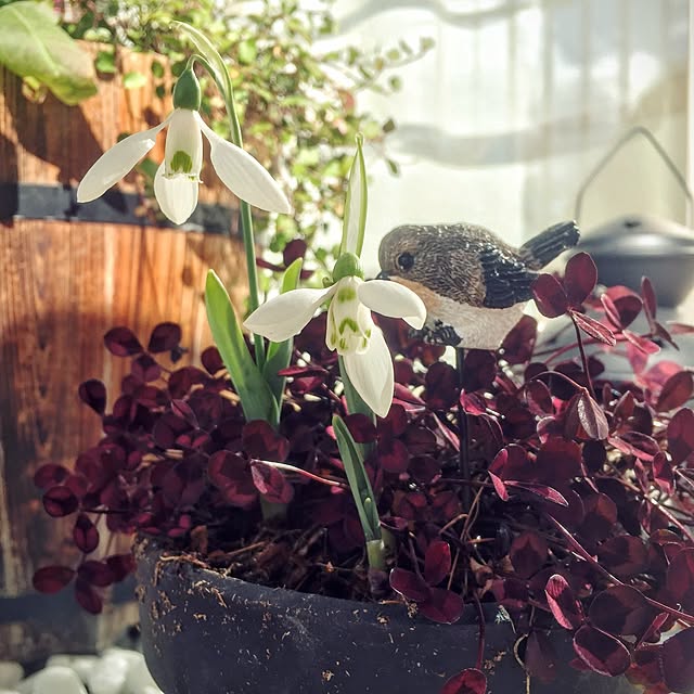 ffgreenさんの実例写真