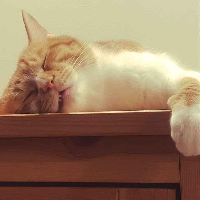 Kobamiさんの実例写真