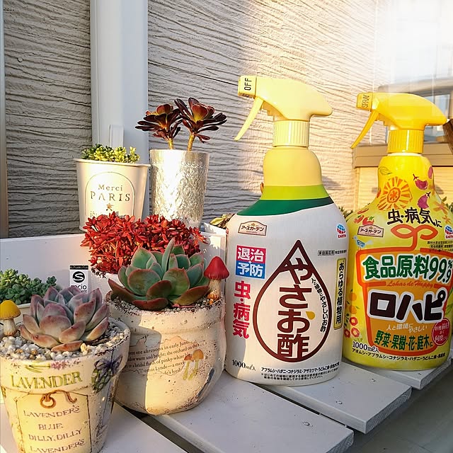 meiさんの部屋