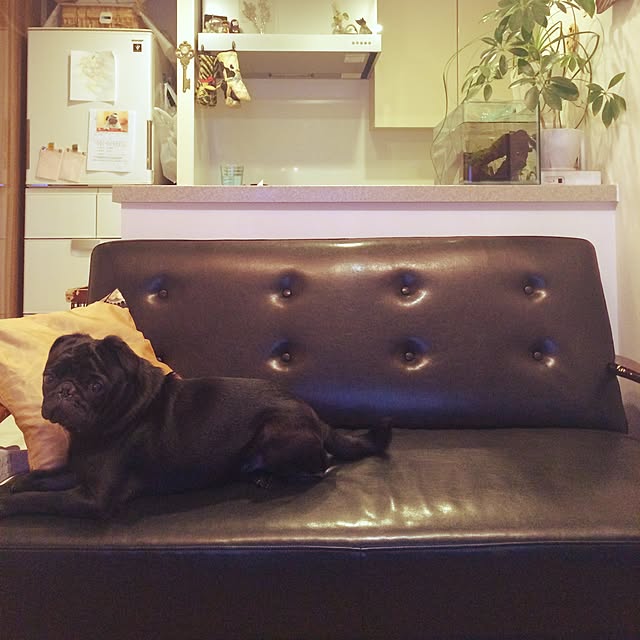 cloudia_gardenさんの実例写真