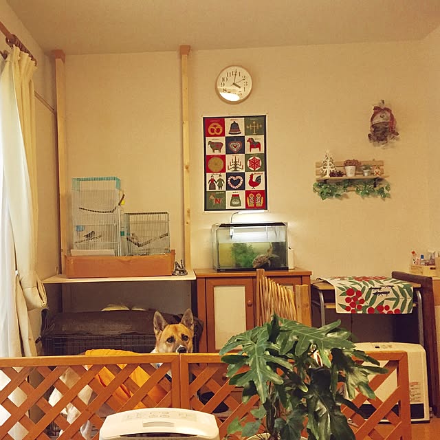 tirolskoさんの実例写真