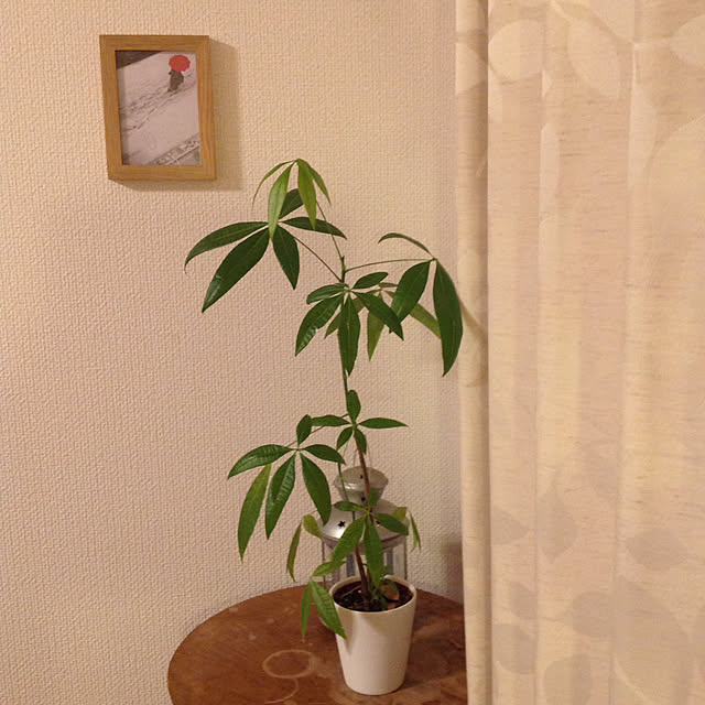 Akemiさんの実例写真