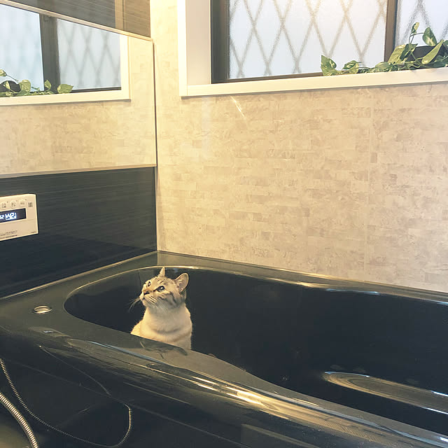 mieさんの実例写真
