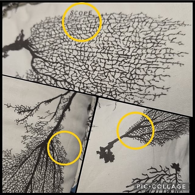 nao814さんの部屋