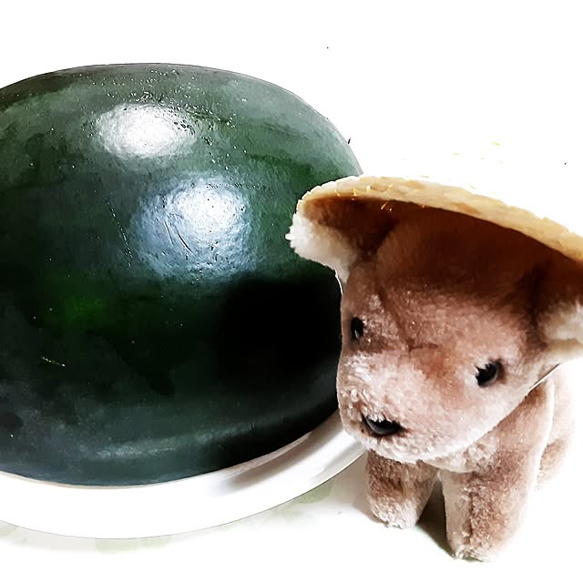 katさんの実例写真