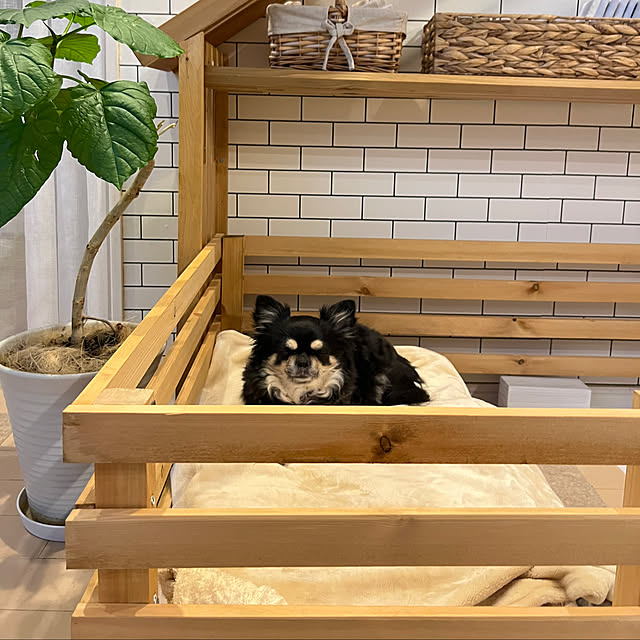 yumimaruさんの部屋