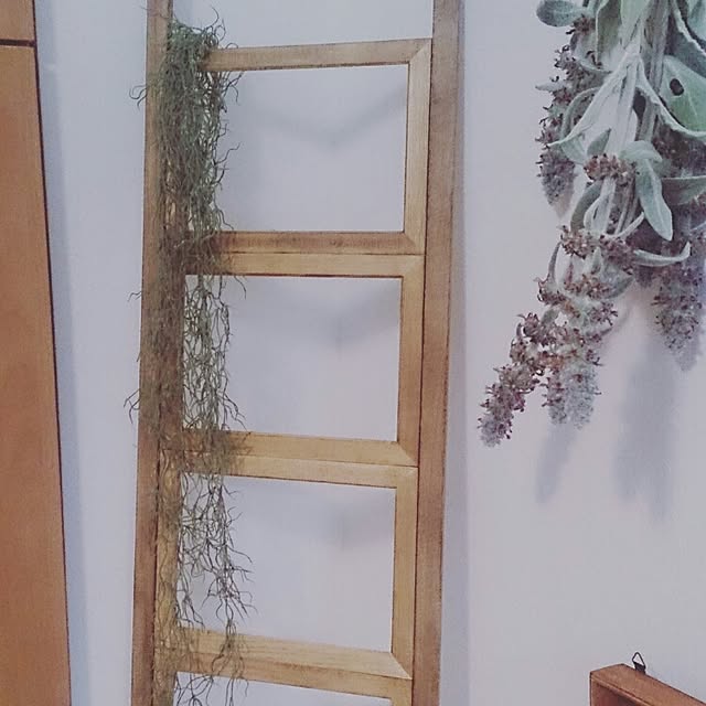 sheenacocoさんの実例写真