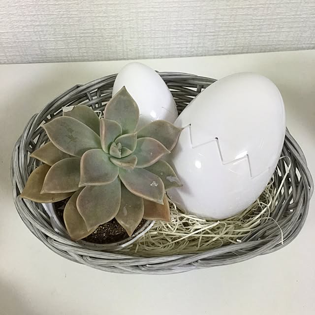 karugoさんの実例写真