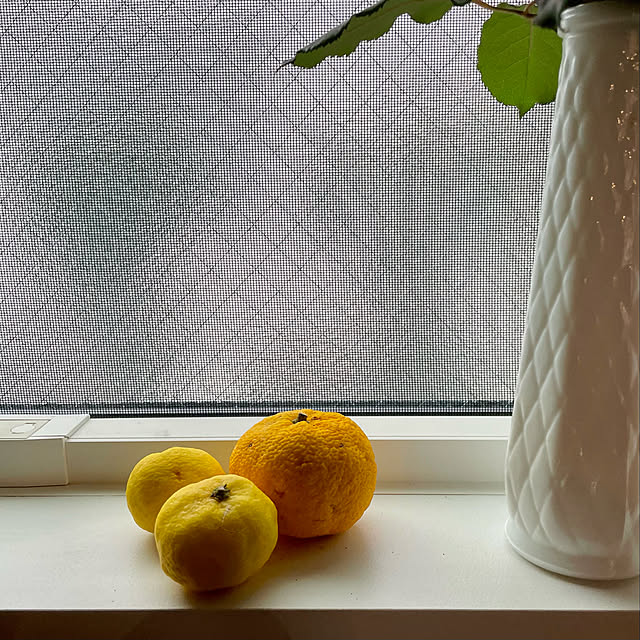 maokimさんの実例写真