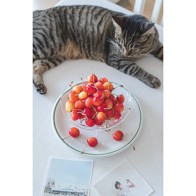 oliveさんの部屋