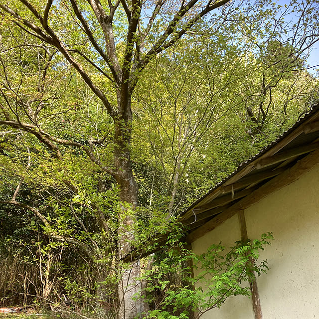 cota2さんの部屋