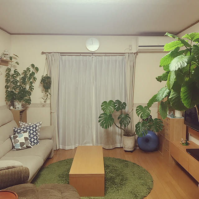 yukaさんの実例写真