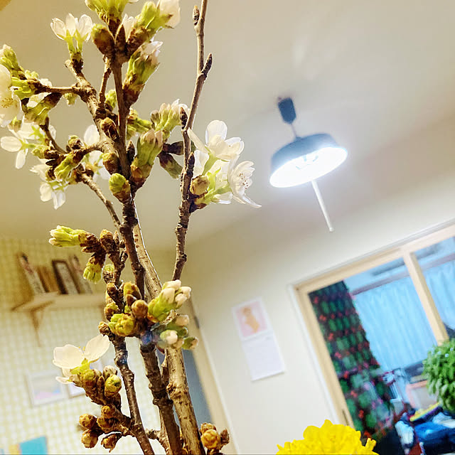 KYOKOさんの実例写真