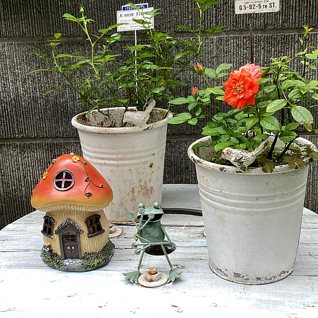 YuuKoさんの実例写真