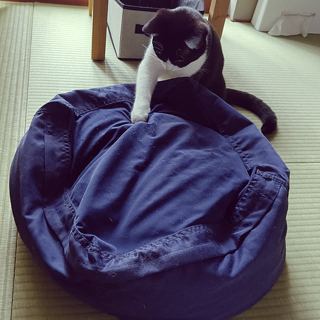 hihaさんの実例写真