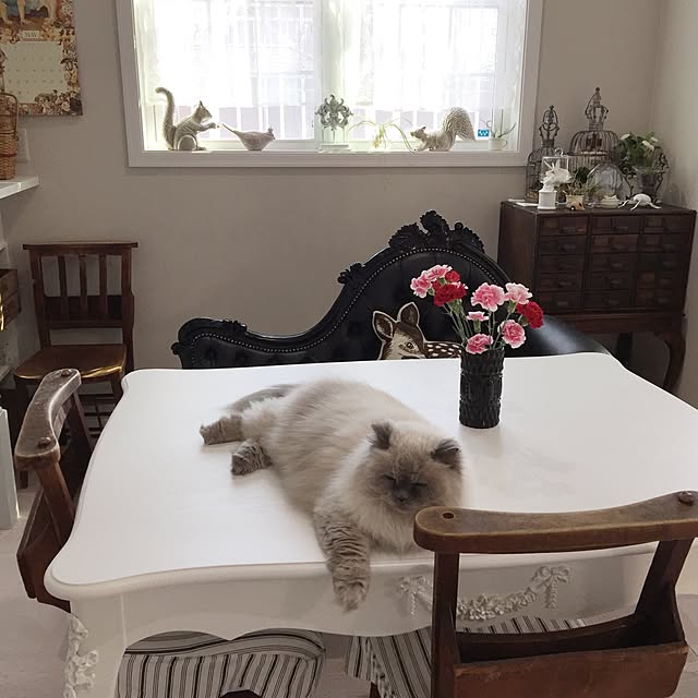yuchiさんの実例写真