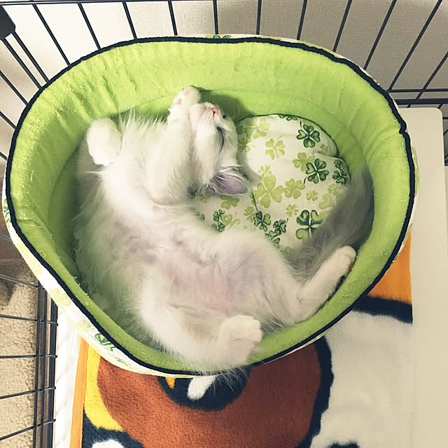 rbesfさんの実例写真