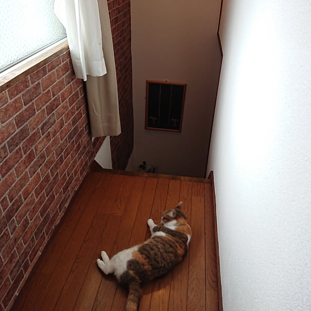 berariさんの実例写真